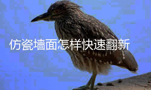 怎样好处料的快速墙面仿瓷翻新 仿瓷涂